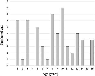 Age-related brain atrophy in cats without apparent neurological and behavioral signs using voxel-based morphometry